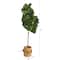 5.5ft. Fiddle Leaf Fig Artificial Tree in Handmade Natural Jute Planter with Tassels